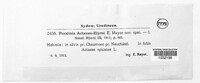 Puccinia actaeae-elymi image